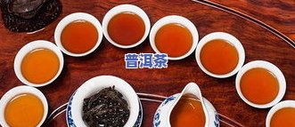 菊花普洱茶：茶类、茶种和茶叶的全解析，了解其所属类别和基本知识