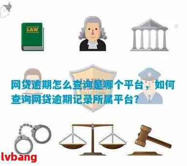 如何查询买单吧逾期信息？解答用户全面搜索需求，提供详细操作指南