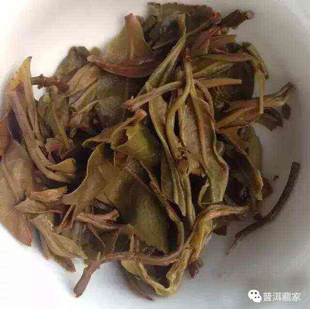 深度解析：如何从普洱茶叶底的纹路来辨别其品质与年份