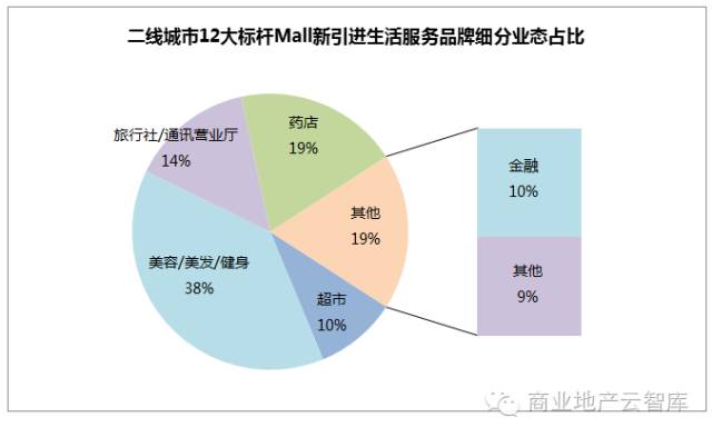 同顺号普洱茶：价格、品质与市场地位，2016年回顾及创立时间解析