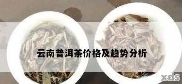 新 探索普洱茶的价格区间：三级普洱茶每斤的市场行情如何？