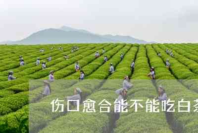 新 缝针后的伤口愈合期间，能否饮茶？茶叶对伤口愈合有何影响？