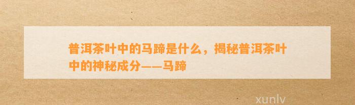 普洱茶马蹄的含义及相关常识——三十一：解读茶叶中的马蹄成分