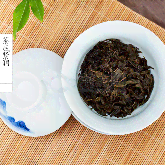 泾渭茯茶与普洱茶：一场独特的风味比较探索