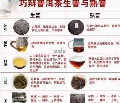 普洱茶料的级别划分：从入门级到高端品鉴，全面了解各类普洱茶的特点与差异