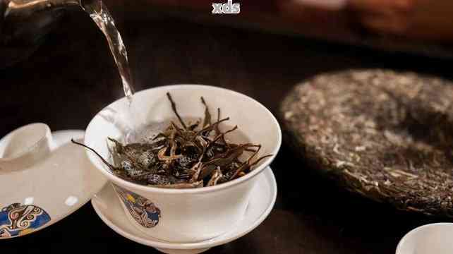 普洱茶泡多长时间喝完？如何掌握泡茶时间与口感 | 茶艺教程