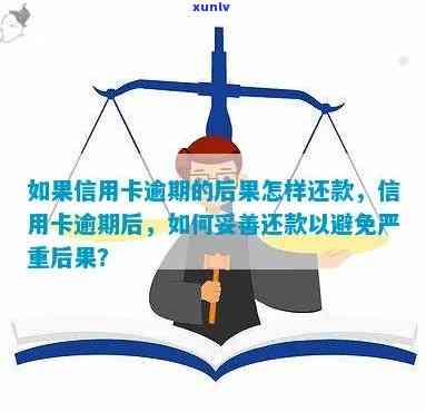 逾期信用卡还款攻略：如何有效处理避免罚息和信用损失