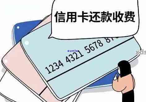 为什么信用卡还款后应还金额未变：解答疑惑与案例分析