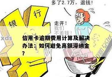 信用卡逾期还款：滞纳金解读与避免策略