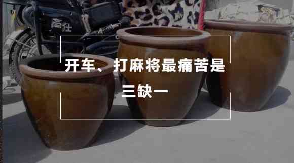 南美缸内能否存放普洱茶？探讨南美缸的适用性及其原因