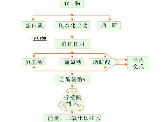 普洱茶过度氧化会怎样？如何处理？氧化后的普洱茶能喝吗？