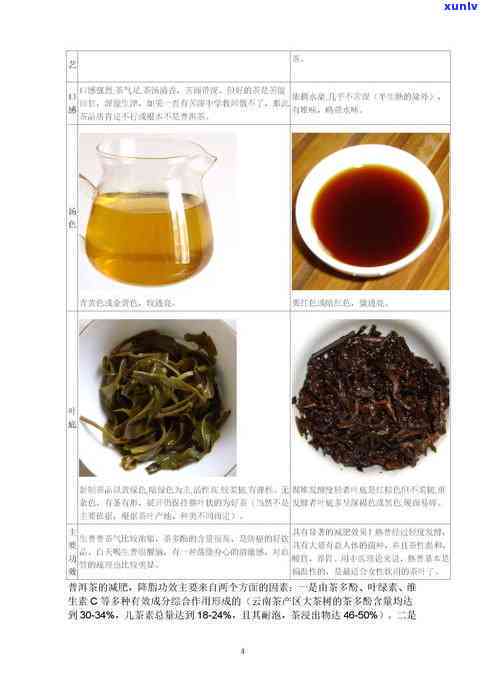 讲解普洱茶的全面权威功效与作用书