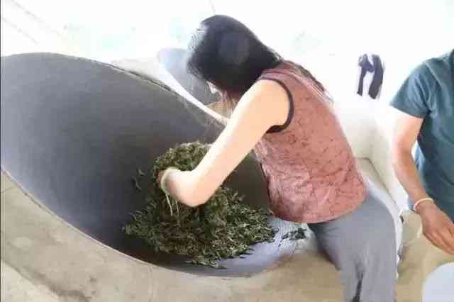 普洱茶用水泡可以吗？多久喝一次？ n普洱茶的冲泡方法及饮用频率