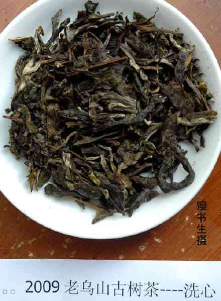 普洱茶之后：揭秘其后的神秘茶品及其独特魅力