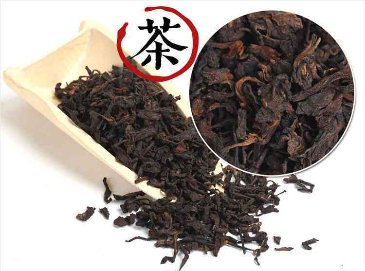 探究普洱茶樟脑香味的成因及其对茶叶品质的影响