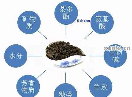 普洱茶糖类物质含量高，但具体含量多少？