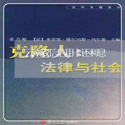 云南农信社信用卡还款宽限期长策略与实践