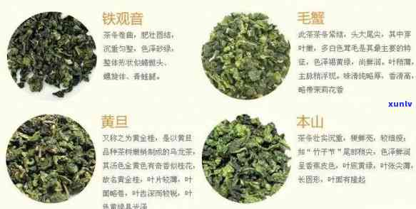 30多岁人群适宜饮用的茶叶种类及其功效