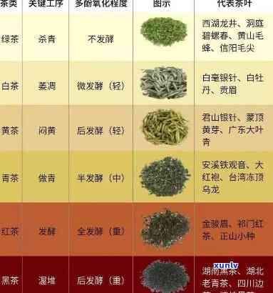 30多岁人群适宜饮用的茶叶种类及其功效