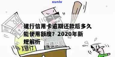 中国建设银行信用卡逾期还款政策解析：是否停息？如何处理？