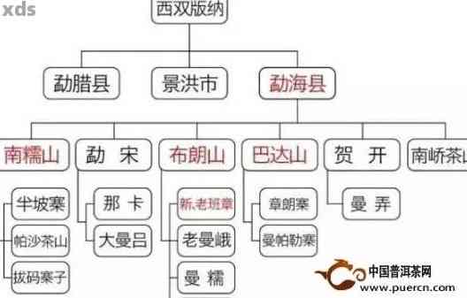 新探究普洱茶五大产区特色，品味不同地域的茶叶魅力