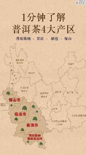 普洱茶名山产区详述：从古六大茶山到新八大茶山的品鉴之旅