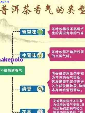 普洱茶的全面解析：从产地到特点，一篇文章带你了解文山普洱茶的一切