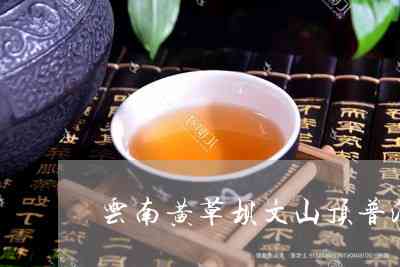 文山普洱茶