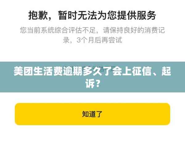 美团生活费逾期还款后果，是否会面临法律诉讼？