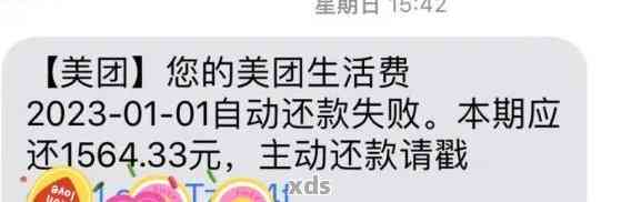 美团生活费逾期两天已经还请了额度还在