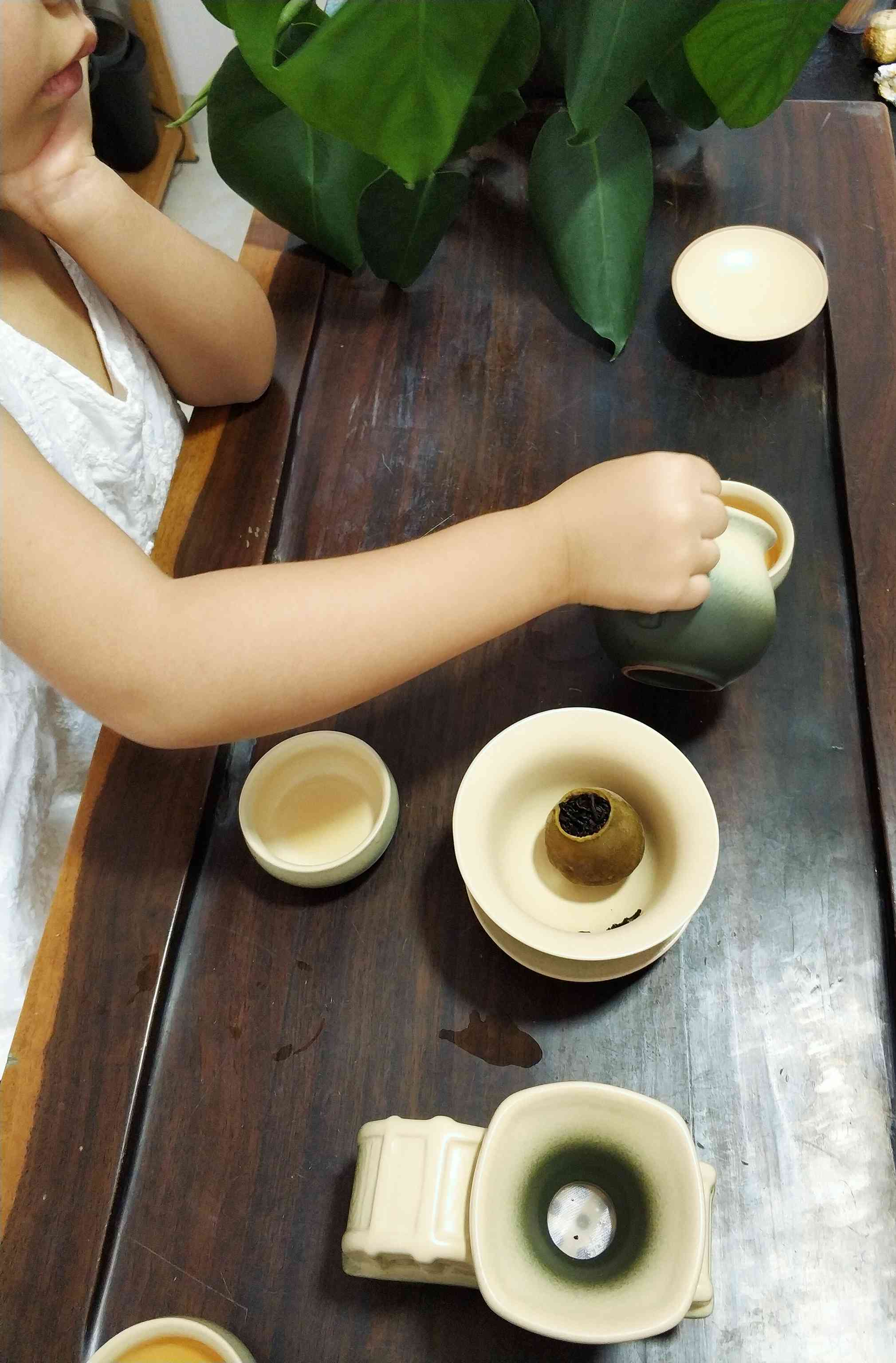 橘红普洱茶