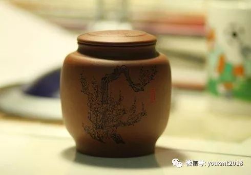 '普洱茶霉点叫什么？普洱茶发霉了还能喝吗？如何处理普洱茶上的霉菌？'