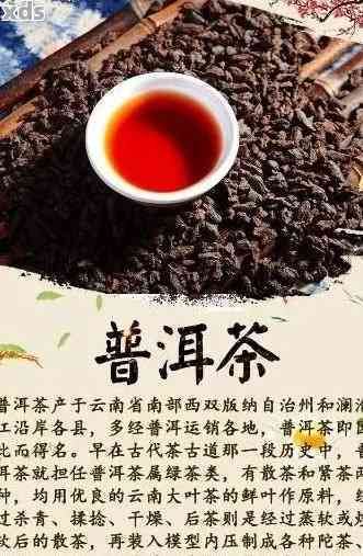 最有名的普洱茶：你知道哪一个？