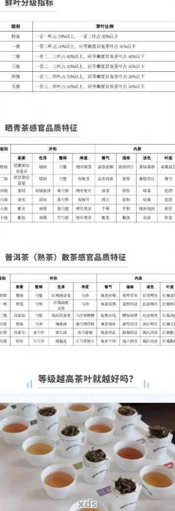 普洱茶品种与规格一览：全面解析编号、品鉴与购买指南