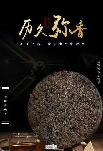 敦煌黑金普洱茶是真茶叶吗