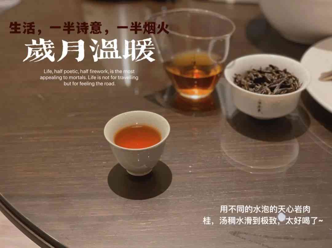 同时烹饪白茶和普洱茶：可行性及味道体验探究