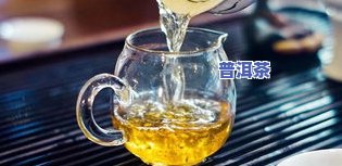 每日建议喝普洱茶多少毫升