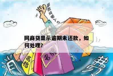 网商贷逾期还款攻略：已逾期怎么处理？