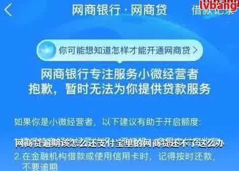 网商贷逾期还款攻略：已逾期怎么处理？