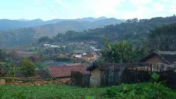 临沧茶区普洱茶香气特色及著名山头汇总