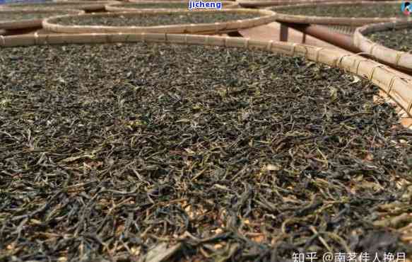 探究普洱茶的制作工艺：从选茶到熟化，品尝这一过程的魅力所在