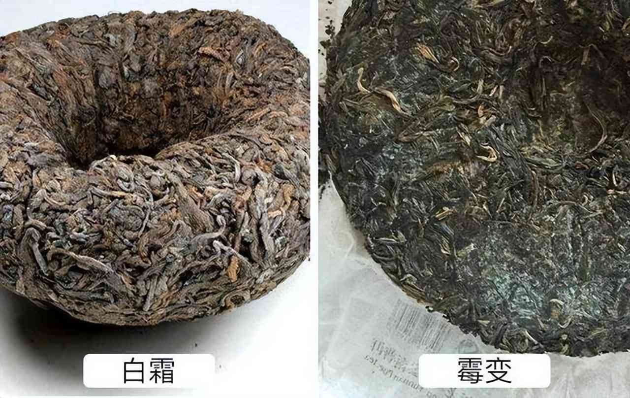 普洱茶的健风险：致癌的说法有科学依据吗？