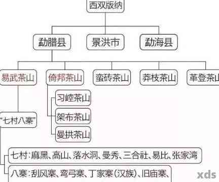 全面了解勐海普洱茶：优质藏品推荐与比较分析