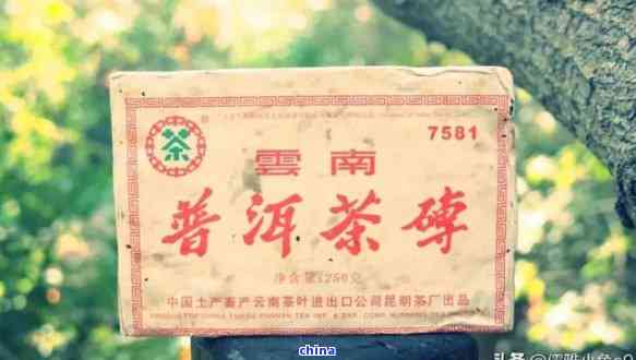 云南春明茶厂：昆明原产地的普洱茶制作精髓