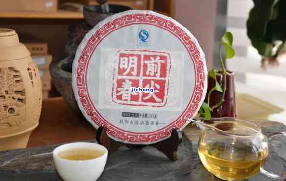 春明普洱茶