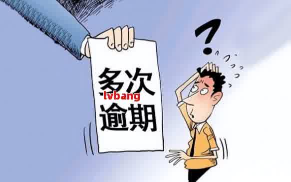 网贷逾期两个月：调解委员会如何介入并提供解决方案？