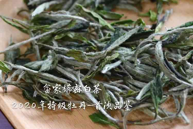 福鼎普洱茶价格表：饼、砖、白茶，老白茶 