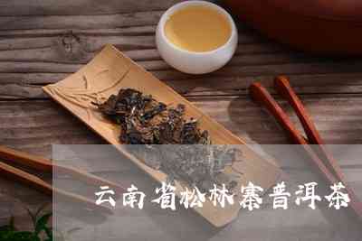 松林普洱茶的产地与松洱茶社：源自云南的精选茶叶