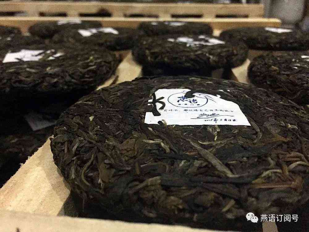 燕语普洱茶价位全解析：高品质茶叶的价格区间与评价