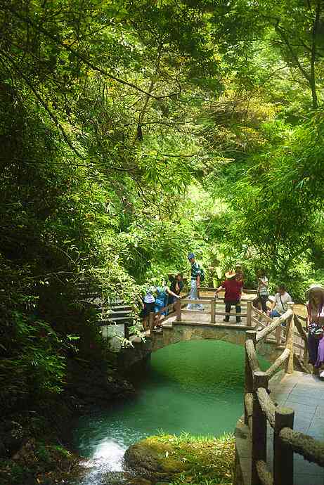 探究黑山料白玉的独特魅力：与和田、翡翠的差异化特点